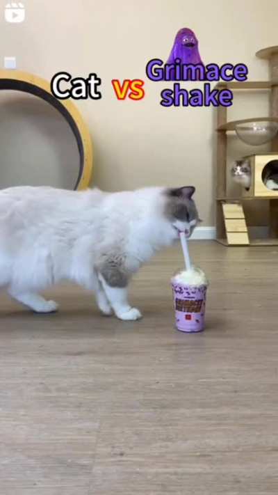 Nooooh!!!