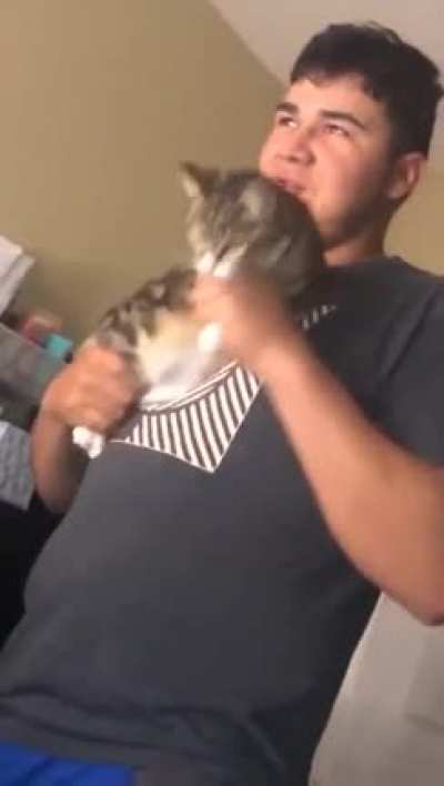 Cat Machine Gun