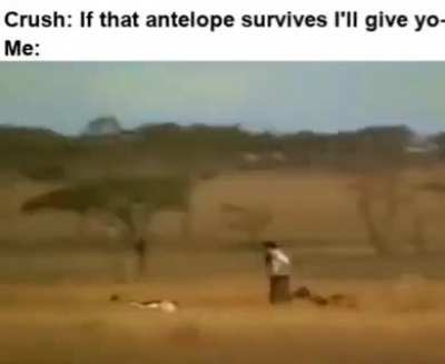 Nigerian Flash