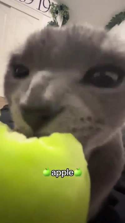 greedy wunk&rsquo;s apple was used to feed the needy, rejoice!