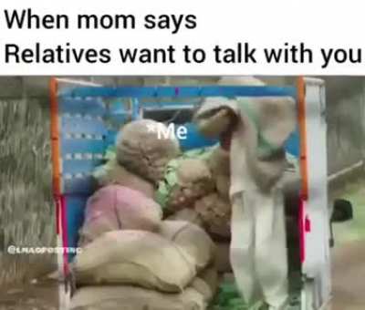 Me irl