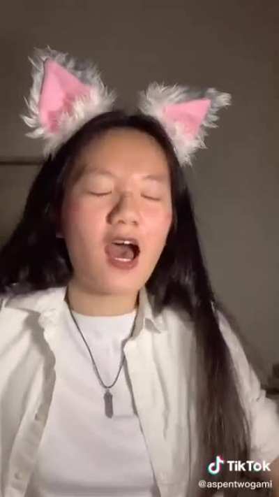 Half furry aka &ldquo;I can&rsquo;t afford more than ears atm&rdquo;