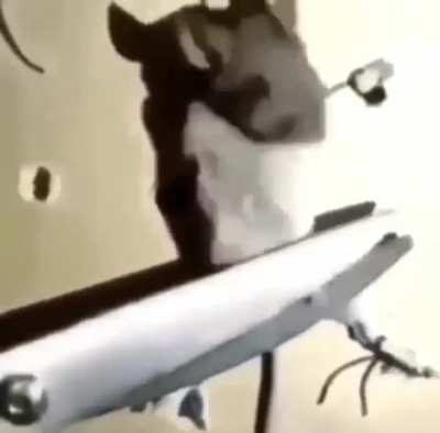 An extraction