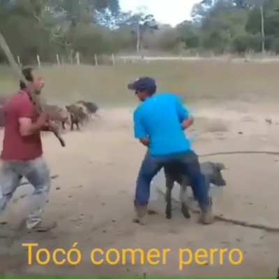 Estoy feliz y enojado &amp;gt;:)