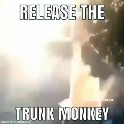 Teslas? Naw fam we got trunk monke