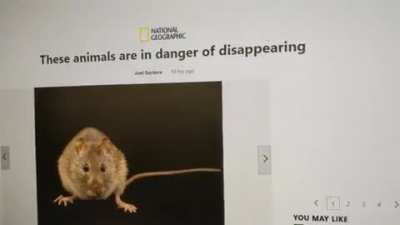 These animals are in danger of disappearing...