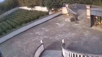 That jump tho!