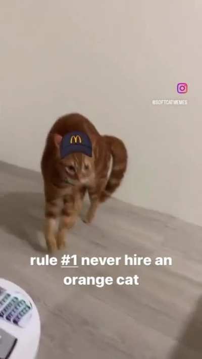 Orange working at your local McDonald&rsquo;s 