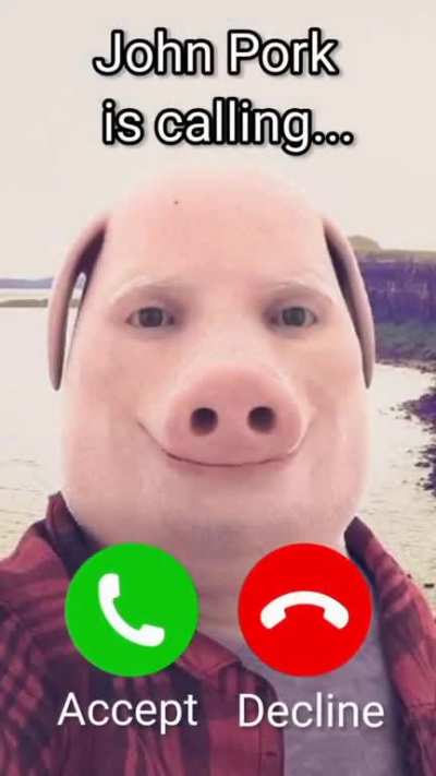 Popo pigu