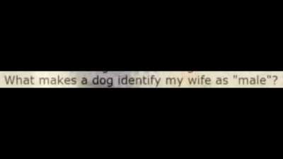 Chad dog?