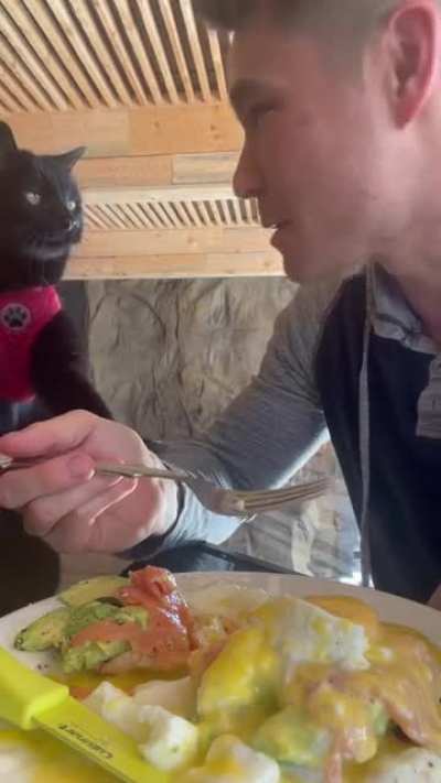 &ldquo;Everything you eat... everything you drink... I&rsquo;ll be watching you"...