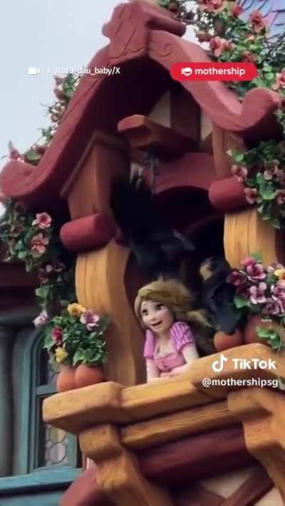 At Tokyo DisneySea, some crows decided to rip out Rapunzel's hair