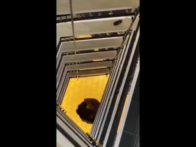 Man falls through the floor while trying to evade police officers.
