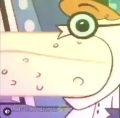 What tf is this?