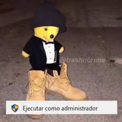 Ejecutivo en administraci&oacute;n