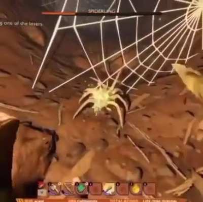 Momma Spider...