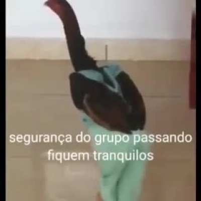 fiquem tranquilos, seguran&ccedil;a passando 👨&zwj;✈️