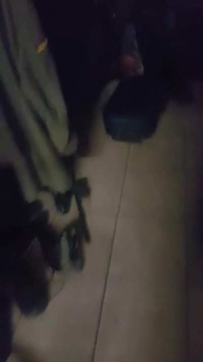 Tickled my brother (perfectly cut scream)