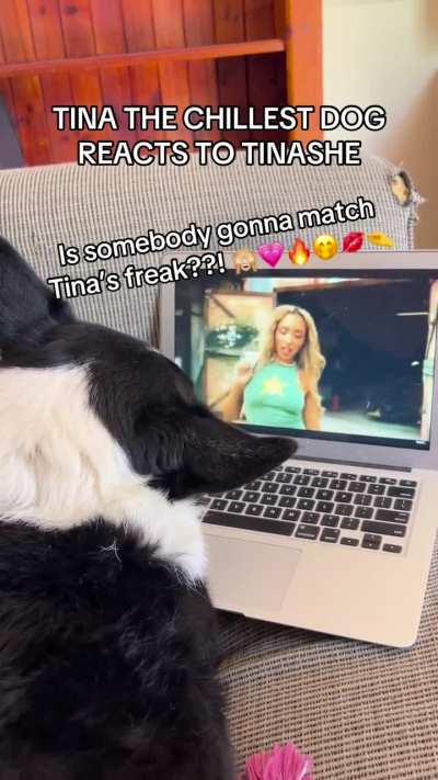 This dog matches Tinashes freak 🙈💗❤️&zwj;🔥✨❣️