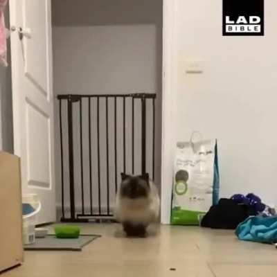 big jump