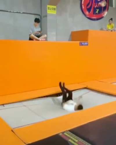 Athletic Suddenly gay