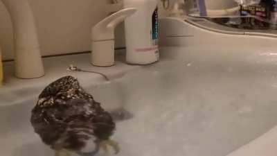 Hydro Massage