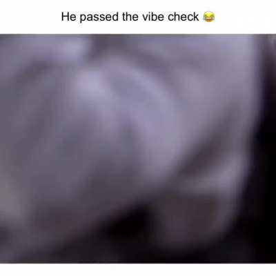 He passed the vibe checc Fr