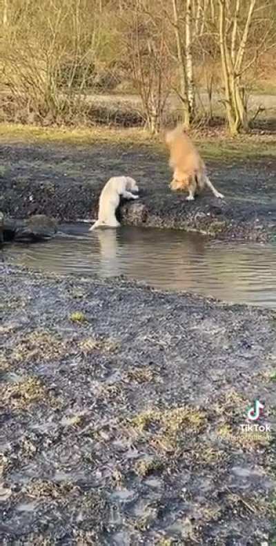 Does not perform well under pressure