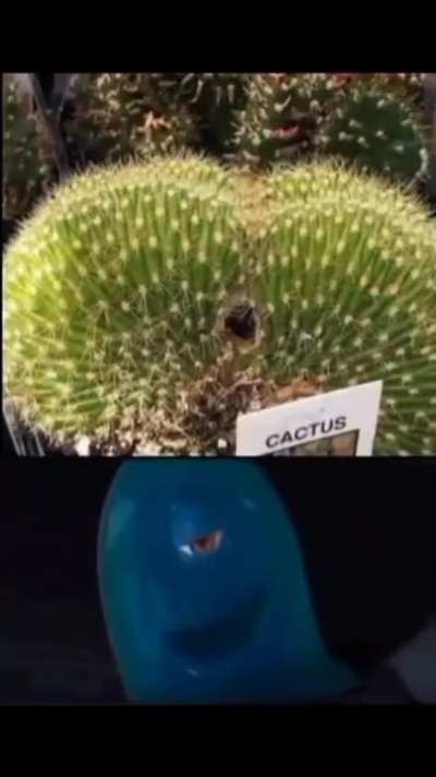 Es necesario