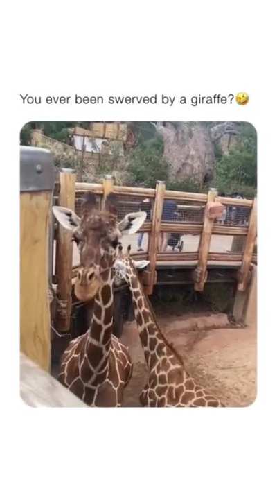 😂😂😂