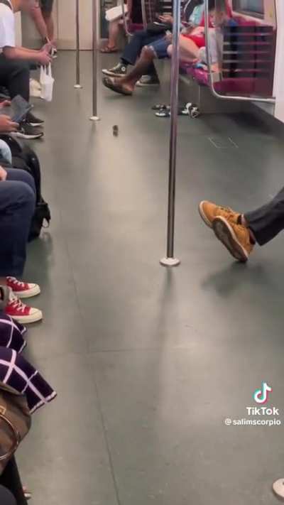 Ratatouille takes MRT go home
