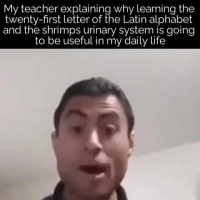 school in a nutshell