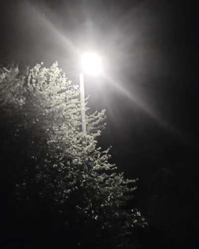 I love a rainy night