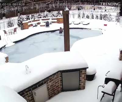 Woman rescue a dog which fell into pool and got trapped under ice.