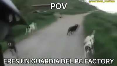Yo y los cauros