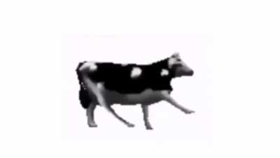 Here’s Polish cow Full song Bass Boosted
