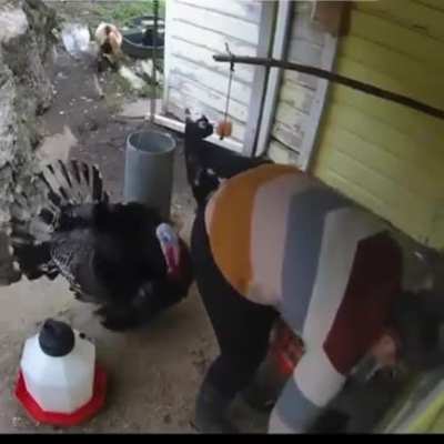 Maybe Maybe Maybe