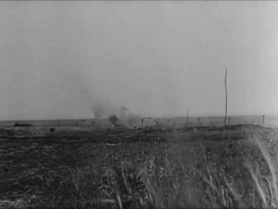Tiger tanks in action at Kursk during the Summer of 1943