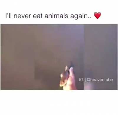 And like that, eating meat is no more!