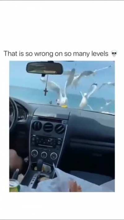 Those poor birds XD