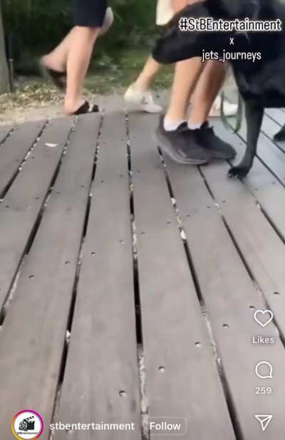 Putting the fear of god in dog