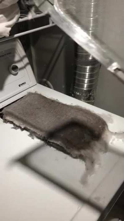 Renters demand a new dryer since this one &ldquo;isn&rsquo;t working well&rdquo;...