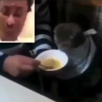 he is hungry
