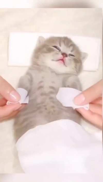 Relax kitty. 😽