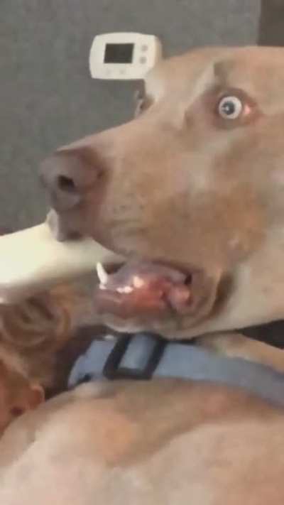 Caption this...