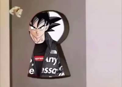 Goku 1