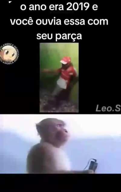 Bons tempos 