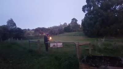 Molotov