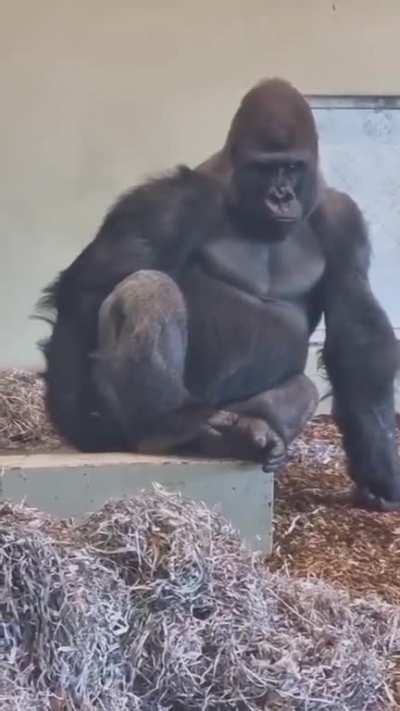 Thinking about you