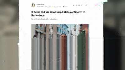 The War on Masculinity